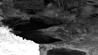 Still 2 from this detection