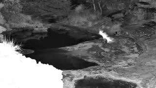 Still 2 from this detection