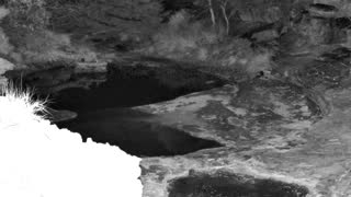 Still 1 from this detection