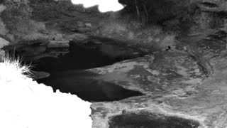 Still 1 from this detection