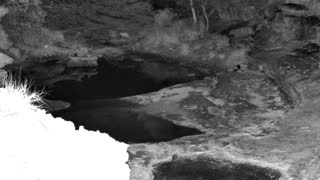 Still 3 from this detection