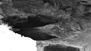 Still 1 from this detection