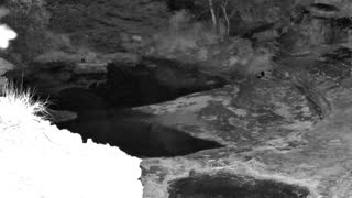 Still 2 from this detection