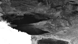 Still 2 from this detection