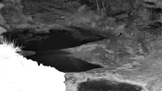 Still 3 from this detection