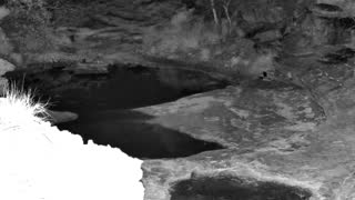 Still 3 from this detection