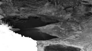 Still 2 from this detection
