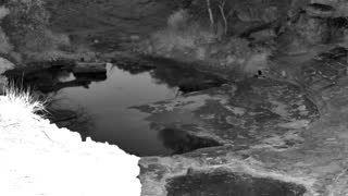 Still 2 from this detection