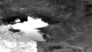 Still 1 from this detection