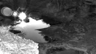 Still 2 from this detection