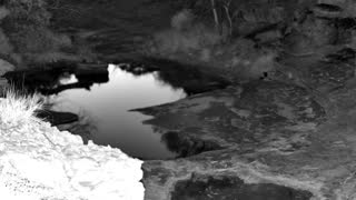 Still 1 from this detection