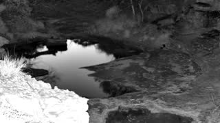 Still 2 from this detection