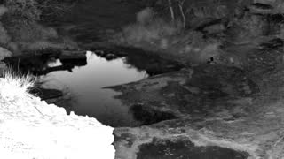 Still 1 from this detection