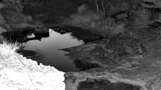Still 2 from this detection