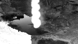 Still 1 from this detection