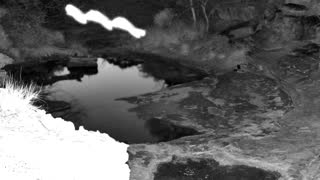 Still 3 from this detection