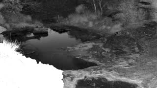 Still 2 from this detection