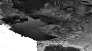 Still 2 from this detection
