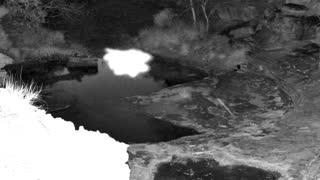 Still 3 from this detection