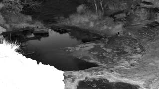 Still 2 from this detection