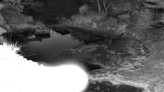 Still 1 from this detection