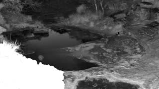 Still 3 from this detection