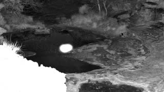 Still 2 from this detection