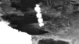 Still 2 from this detection