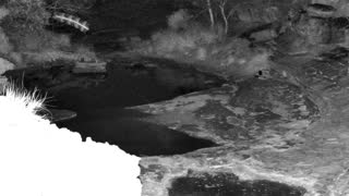 Still 1 from this detection