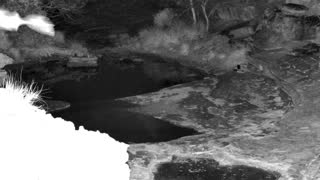 Still 1 from this detection