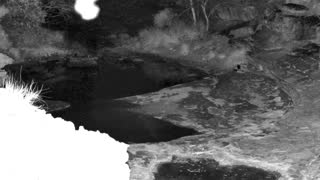 Still 2 from this detection
