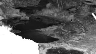 Still 2 from this detection
