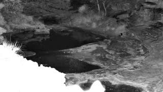 Still 1 from this detection