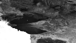 Still 1 from this detection