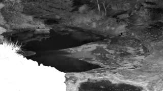 Still 2 from this detection