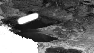 Still 1 from this detection