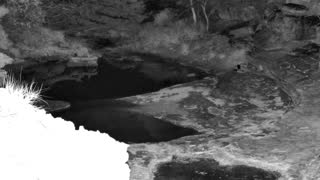 Still 3 from this detection