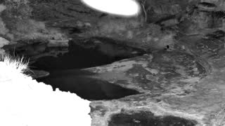 Still 1 from this detection