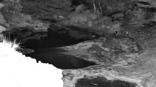 Still 2 from this detection