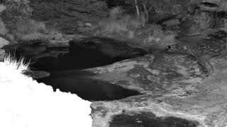 Still 2 from this detection