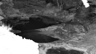 Still 2 from this detection