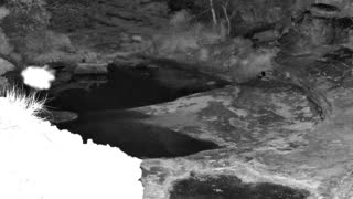 Still 1 from this detection
