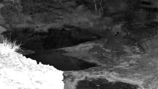 Still 1 from this detection