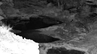 Still 2 from this detection