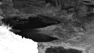 Still 3 from this detection