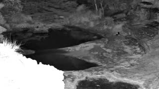 Still 1 from this detection