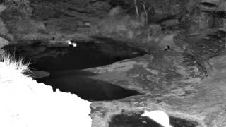 Still 2 from this detection