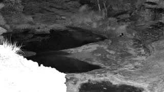 Still 1 from this detection