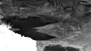 Still 3 from this detection