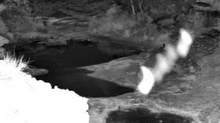Still 3 from this detection